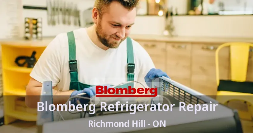 Blomberg Refrigerator Repair Richmond Hill - ON