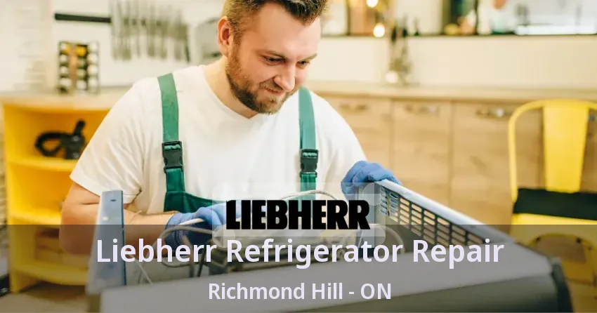 Liebherr Refrigerator Repair Richmond Hill - ON