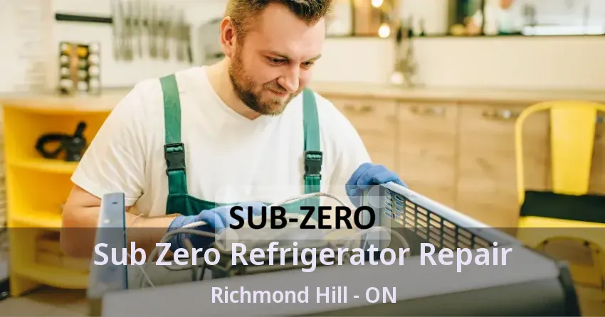 Sub Zero Refrigerator Repair Richmond Hill - ON