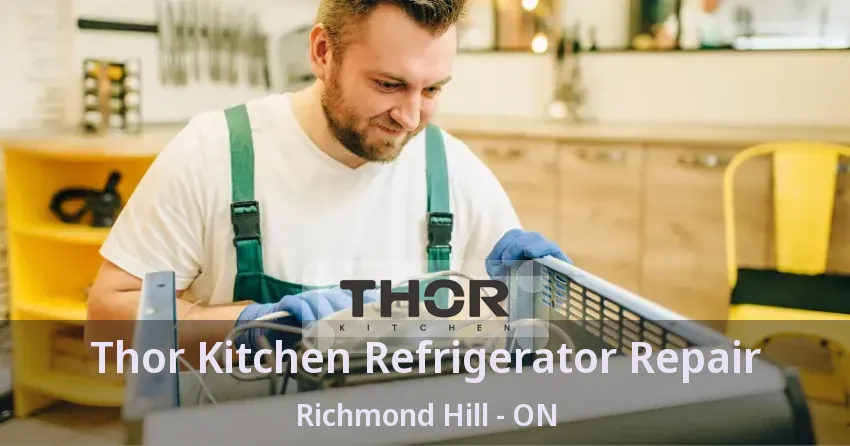 Thor Kitchen Refrigerator Repair Richmond Hill - ON