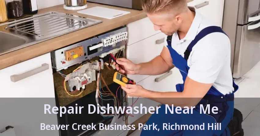 Repair Dishwasher Near Me Beaver Creek Business Park, Richmond Hill - ON