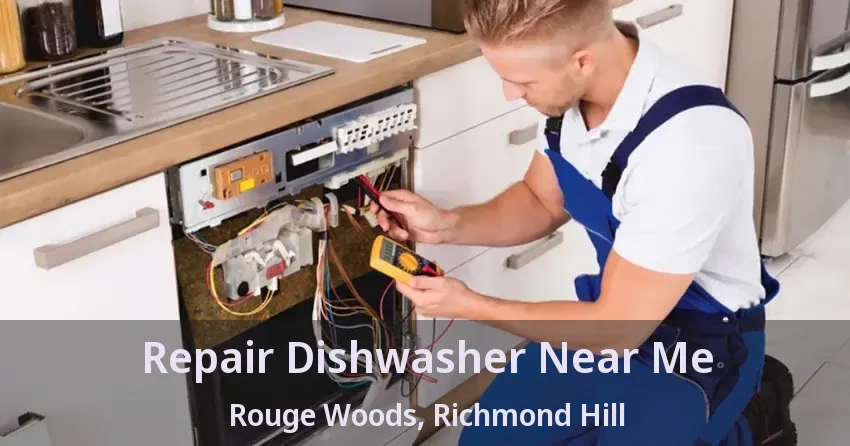 Repair Dishwasher Near Me Rouge Woods, Richmond Hill - ON