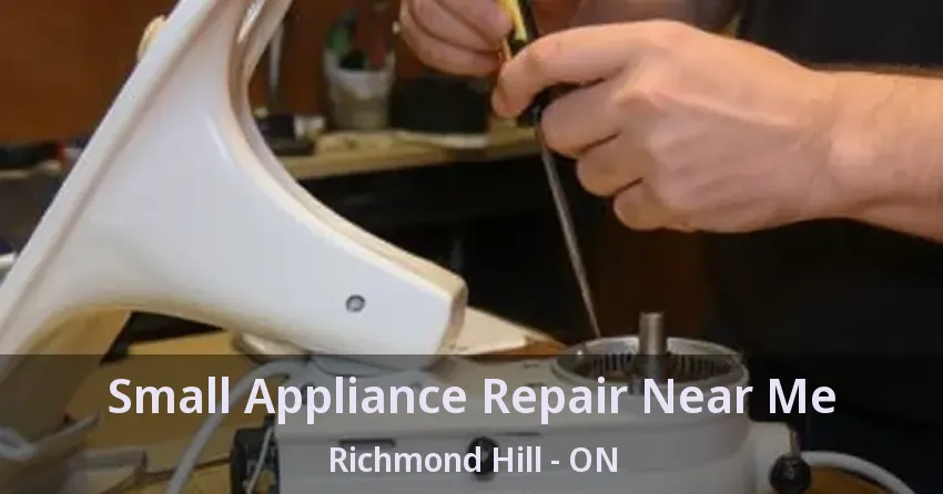Small Appliance Repair Near Me Richmond Hill - ON