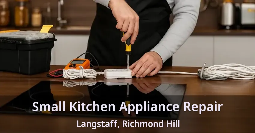 Small Kitchen Appliance Repair Langstaff, Richmond Hill - ON