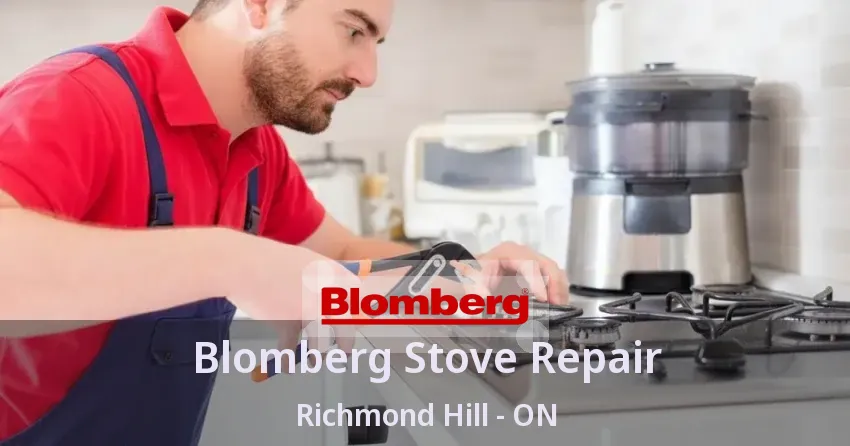 Blomberg Stove Repair Richmond Hill - ON