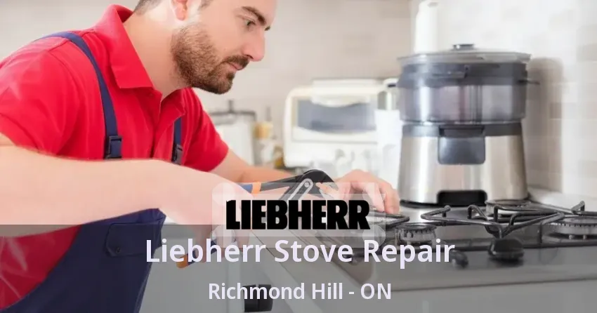 Liebherr Stove Repair Richmond Hill - ON