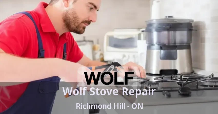 Wolf Stove Repair Richmond Hill - ON