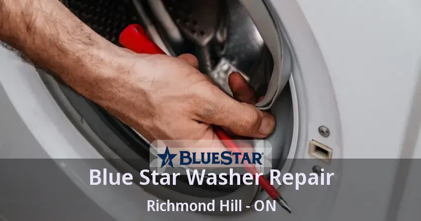 Blue Star Washer Repair Richmond Hill - ON