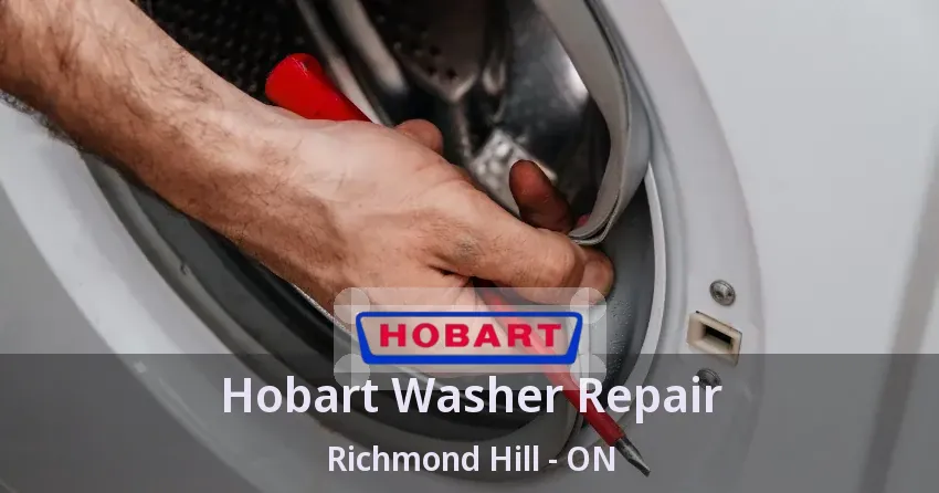Hobart Washer Repair Richmond Hill - ON