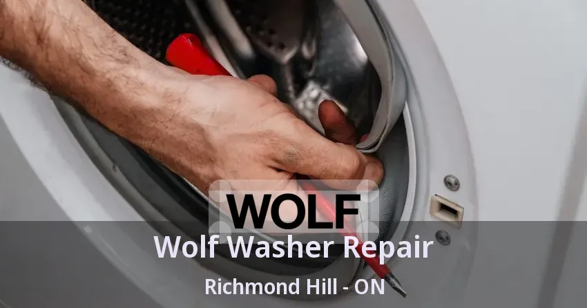 Wolf Washer Repair Richmond Hill - ON